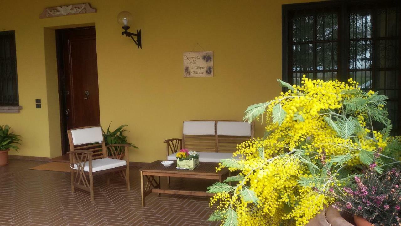 B&B La Vigna Di Federico Рубано Екстер'єр фото
